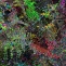 Shane Hope | coulomb-dielectric | 2011 | Lenticular 3D pigment print | 24 x 24 inches