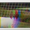 Josh Tonsfeldt | Untitled (Kid) | 2007 | Digital c-print | 13 x 19 inches