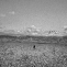 Gonzalo Lebrija | The Distance Between You and Me 16, 2009