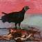 Karen Heagle
