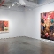 Let Nature Take Its Course and Hope It Passes, Installation view, I-20 Gallery