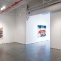 Let Nature Take Its Course and Hope It Passes, Installation view, I-20 Gallery